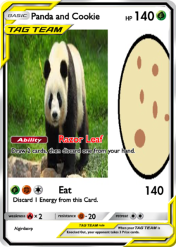 Panda and Cookie