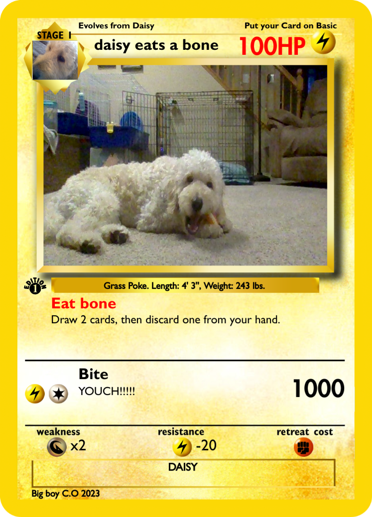 daisy eats a bone - PokeCardMaker