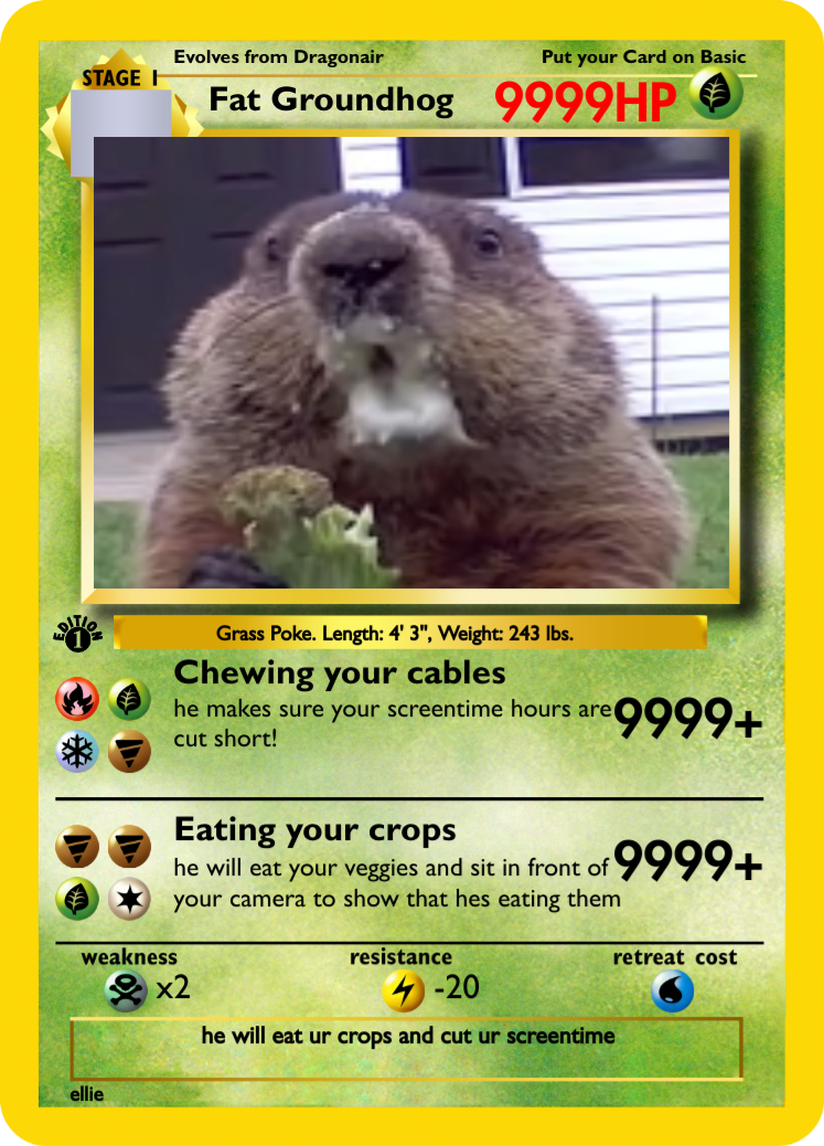 Fat Groundhog - PokeCardMaker